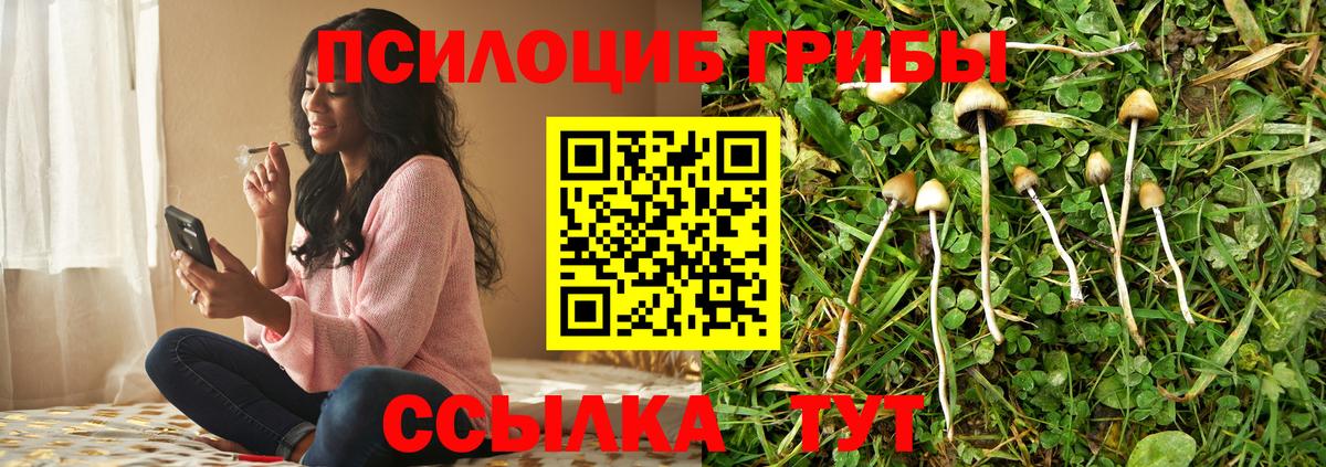 Галлюциногенные грибы GOLDEN TEACHER Электрогорск