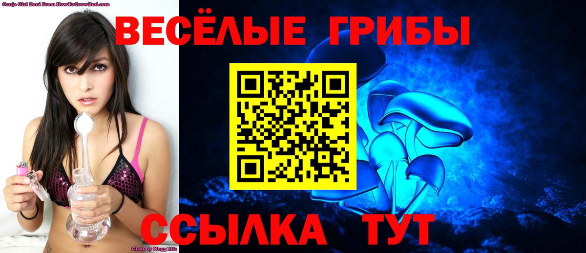 Псилоцибиновые грибы мухоморы  Вход с VPN  Электрогорск 